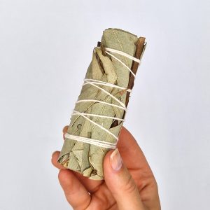 White Sage & Eucalyptus Smudge Stick