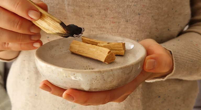 Palo Santo Benefits & How to Use It